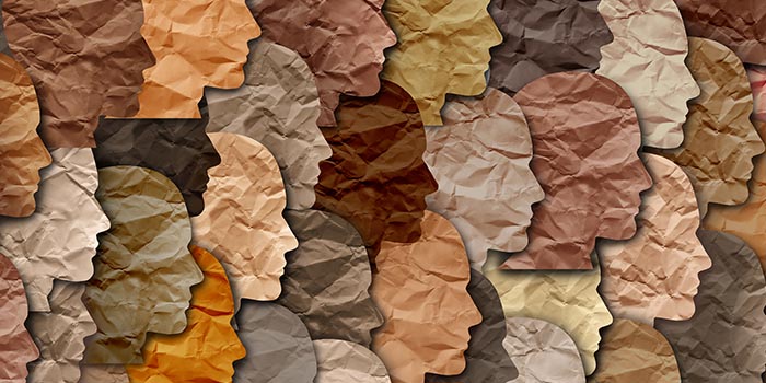 Diversity concept