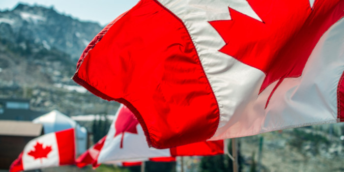 Canadian flags waving in the air